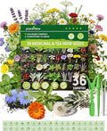 Medicinal Herb Seeds Variety Pack - 36 Heirloom Non-GMO Herbal Tea Garden Seeds: Chamomile, Lavender, Echinacea, Yarrow, Mugwort for Planting Indoor & Outdoor, Apothecary & Homesteading Supplies