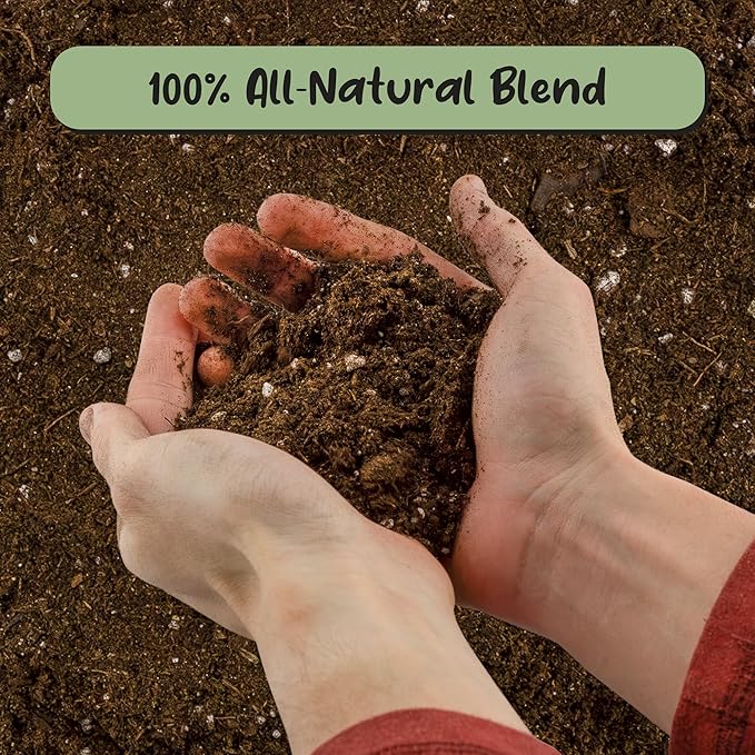 Soil Sunrise Peace Lily Potting Soil Mix (12 Quarts) for Planting, Growing, or Repotting Peace Lily Plants