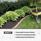 Back to the Roots 25.7qt (1 Cubic ft) Organic Premium Mulch