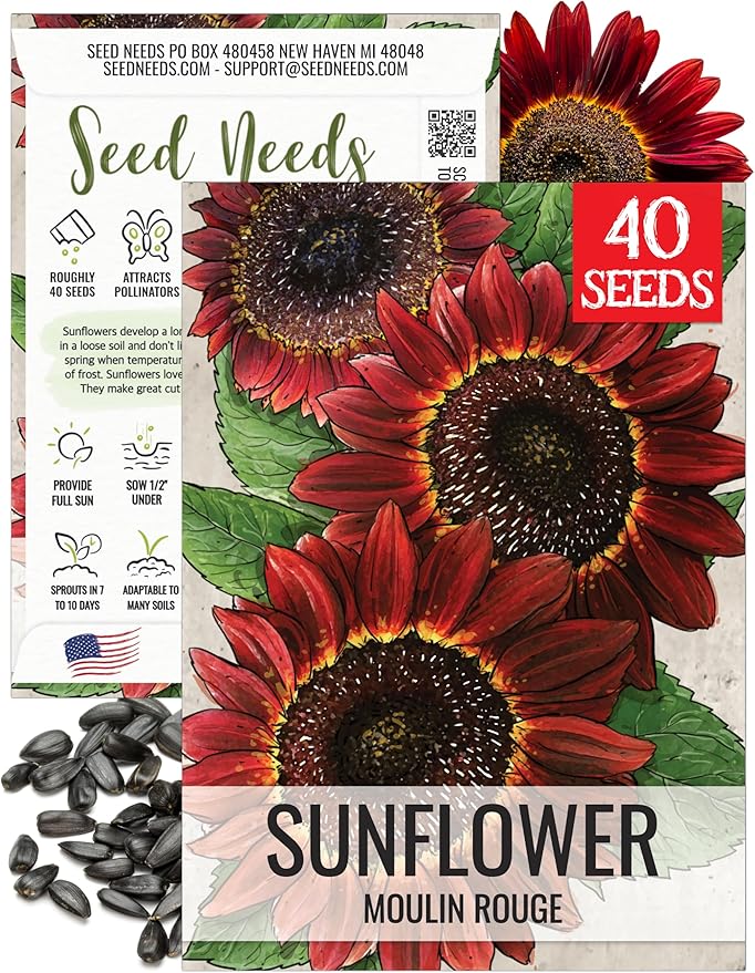 Seed Needs Moulin Rouge Sunflower Seeds for Planting Red Sunflowers - F1 Hybrid Deep Burgundy Flowers Perfect for Bouquets & Floral Arrangements as a Cut Flower (1 Pack)