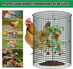 5 Pack Wire Plant Protector with Cover, 16"x12" Detachable Metal Plant Protectors Mesh, Garden Plant Protectors for Shrubs Flowers Vegetables to Keep Rabbit & Chicken Animals Out