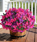 Artificial Bougainvillea Flowers for Outdoors Spring Plants Decor, 4 Bundles Faux Flowers for Outdoor Planters Silk UV Resistant Realistic for Outside for Porch Patio Window Planter Garden Home