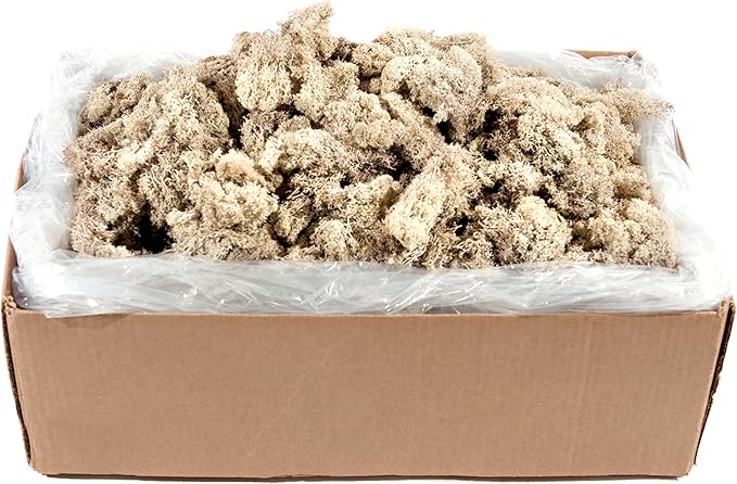 SuperMoss (21498) Reindeer Moss – Soft Preserved Moss for Home Decor, Crafts, Terrariums, Floral Design, and Wedding Decorations, 2,588 cu in, Natural