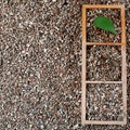 AVALUTION 3QT Vermiculite - Organic Vermiculite for Plants Horticultural Coarse Vermiculite Natural Soil Additive for Potted Plants Gardening Mushrooms Seed Starting