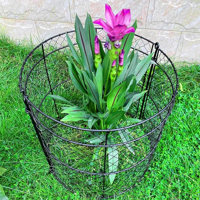 6 Pack Heavy-Duty Chicken Wire Plant Cloches, 14"x16" Rustproof Chicken Wire Cages for Flowers, Seedlings & Vegetables, Combine to Large Fences for Raised Beds & Patios, Keep Rabbits, Squirrels Out