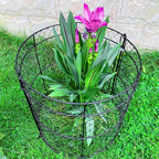 6 Pack Heavy-Duty Chicken Wire Plant Cloches, 14"x16" Rustproof Chicken Wire Cages for Flowers, Seedlings & Vegetables, Combine to Large Fences for Raised Beds & Patios, Keep Rabbits, Squirrels Out