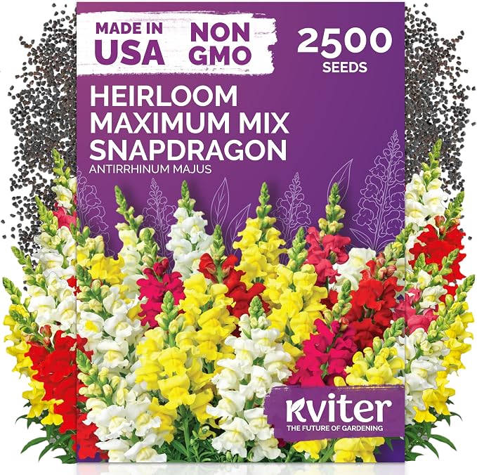 KVITER 2500 Maximum Mix Snapdragon Seeds (Antirrhinum Majus) - Snapdragon, Tall Colorful Dragon Flower, Non GMO Seed Packets - Flower Seeds for Outdoor Garden, Borders & Containers, Cut Flowers