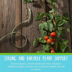VELCRO Brand Adjustable Plant Ties | 75 ft x 1/2 in Green Garden Tape | Reusable, Cut-to-Length Hook & Loop Plant Support for Staking, Training & Organizing Tomatoes, Vines, and Flowers
