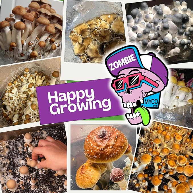 All-in-One Mushroom Grow Kit (1-Pack) – 3lb Mini Bags with Sterilized Grain and CVG Substrate, Injection Ports Included, for Growing Mushrooms at Home (Spores Not Included)