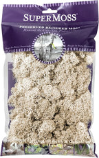 SuperMoss (21702) Reindeer Moss Preserved, 120 cu. in., Natural