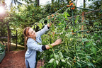 Plant Support Clips for Trellis, Garden Stakes, Wire Fence, Climbing Plants, Indoor Gardening, Hydroponics Systems, and Vines | Durable Gardening Clips (50 Lime Green + 50 Tangerine Orange)
