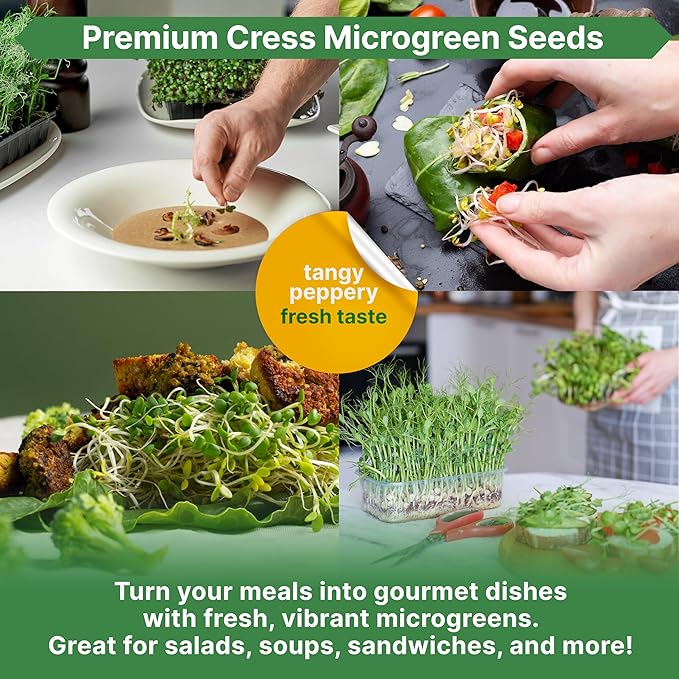 Organo Republic Cress Sprouting & Microgreens Seed - 360,000 Non-GMO Heirloom Seeds, Sprouts in Bulk 1lb Resealable Bag for Planting & Growing Microgreens in Soil, Coconut Coir, Aeroponic & Hydroponic