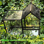 Ready-to-Use Glass Terrarium with Vents, 8.66"x4.72"x8.46" House-Shaped Habitat for Jumping Spider,Praying Mantis,Snails,or Succulent Plants - Home Garden Tabletop Decor Enclosure (Dark Gunmetal)
