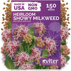 KVITER 150 Showy Milkweed Seeds (Asclepias Speciosa) - Greek Milkweed, Perennial Wildflower, Pink-Purple Blooms, Butterfly Magnet - Flower Seeds in Seed Packets for Outdoor Gardens and Borders