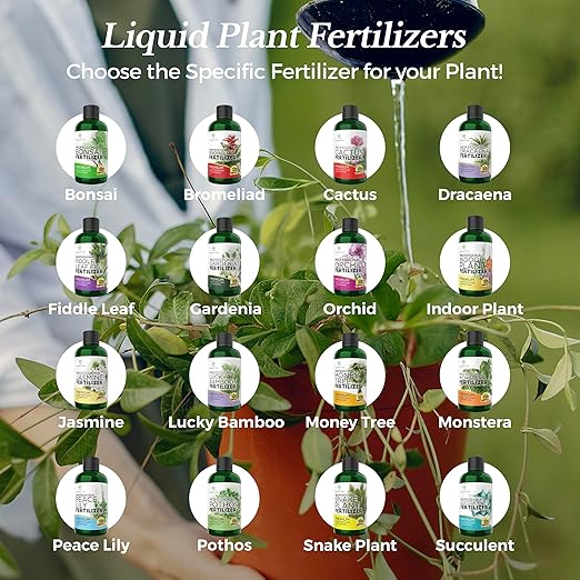 Professional Dracaena Plant Fertilizer Liquid 3-1-2 Concentrate 8 oz, Premium Dracena Liquid Plant Food for Indoor Plants, Liquid Dracaena Plant Fertilizer Made in USA