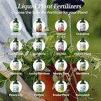 Professional Fiddle Leaf Fig Fertilizer Liquid 3-1-2 Concentrate 8 oz, Premium Fiddle Leaf Fig Plant Food for Indoor House Plants, Liquid Fertilizer for Fiddle Leaf Fig Plants