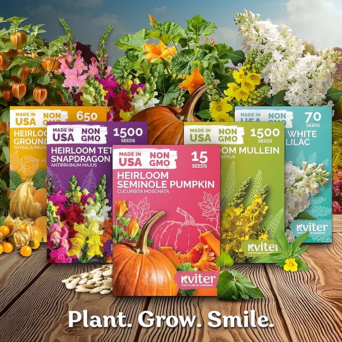 KVITER 100 Mary Washington Asparagus Seeds (Asparagus officinalis) – Heirloom Non GMO Asparagas Seed Packets Rust Resistant Perennial – Aspergus Vegetable Seeds for Planting Outdoors, Home Garden