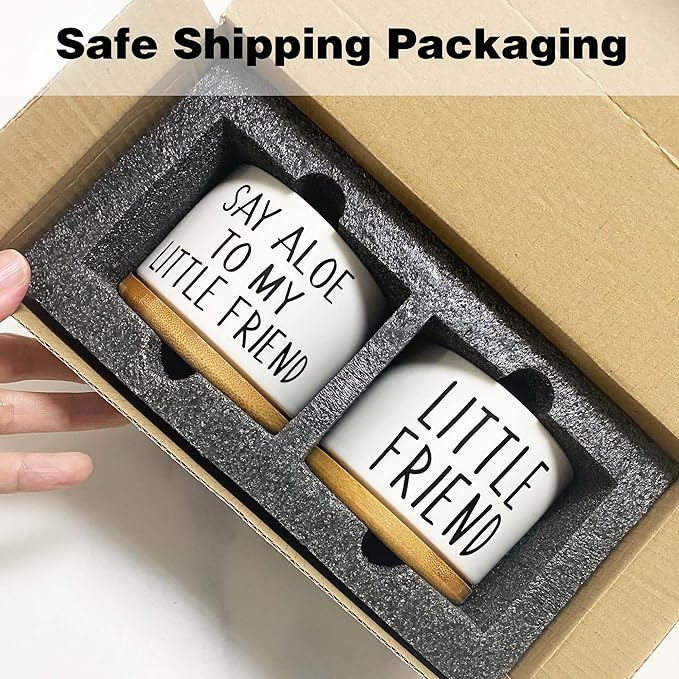 Kwtzkuo® 2 Pack- Say Aloe to My Little Friend - Funny Succulent Pots, Cute Small Ceramic Planter Pot with Drainage, Home & Office Succulent Aloe Planter