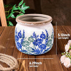 Dosayes Flower Pot,Vintage Ceramic Pot for Planter with Drainage Holes, 6.29 inch Ice Crack Glazed Small Planters Pot for Indoor,Tucan Home Decor,Gardening Gifts (Art Deco)