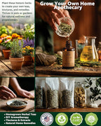 Medicinal Herb Seeds Variety Pack - 36 Heirloom Non-GMO Herbal Tea Garden Seeds: Chamomile, Lavender, Echinacea, Yarrow, Mugwort for Planting Indoor & Outdoor, Apothecary & Homesteading Supplies