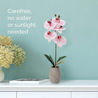 Mikasa Artificial Orchid in Pot, Real Touch Phalaenopsis Orchid, Embossed Weave Cement Pot, 16-Inch Single Branch, Watercolor Pink