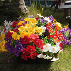 Artificial Flowers for Outdoors Fake Plants Outside Decoration, 12 Bundles Silk Petunia with Eucalyptus UV Resistant Realistic Faux Flowers for Outdoor Planters Garden Balcony (4 Color)