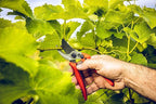 Original LÖWE LÖWE 14.107 Garden Shears Metal