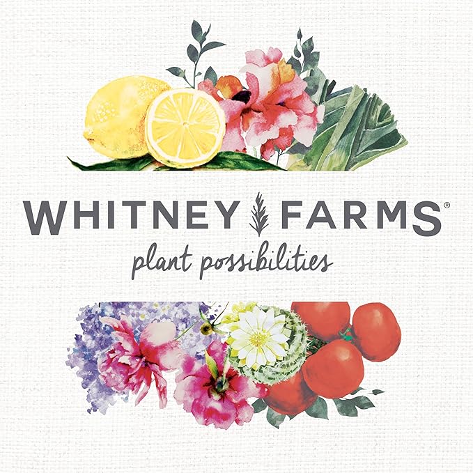 Whitney Farms Organic Blood Meal 12-0-0 - Nitrogen Fertilizer for Growth in Flowers, Vegetables, Bulbs, Trees and Shrubs, 3 lb.
