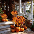 Artificial Fall Flowers Outdoor Fake Mums - 12 Bundles Fake Plants UV Resistant No Fade Faux Plastic Greenery Garden Porch Patio Fall Home Decor(RedOrangeYellow)