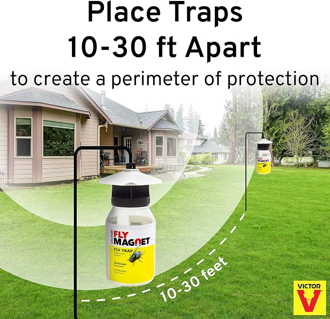 Terro T380 Outdoor Reusable Fly Magnet Fly Trap - Poison Free Trap with Bait (Pack of 2)