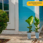 Costa Farms White Bird of Paradise Live Plant in Plastic Pot, Small Indoor Houseplant, Perfect for Home, Room, or Office Decor, Great House Warming or Birthday Gift, 16-24 Inches Tall