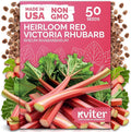KVITER 50 Red Victoria Rhubarb Seeds for Planting (Rheum Rhabarbarum) – Organic & Heirloom Seeds, Perennial Vegetable Seeds – Perfect for Rhubarb Jam & Pies, Grow in Beds & Outdoor Garden