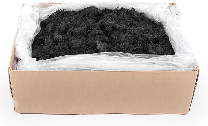 SuperMoss (21790) Reindeer Moss – Soft Preserved Moss for Home Decor, Crafts, Terrariums, Floral Design, and Wedding Decorations, 2,588 cu in, Black