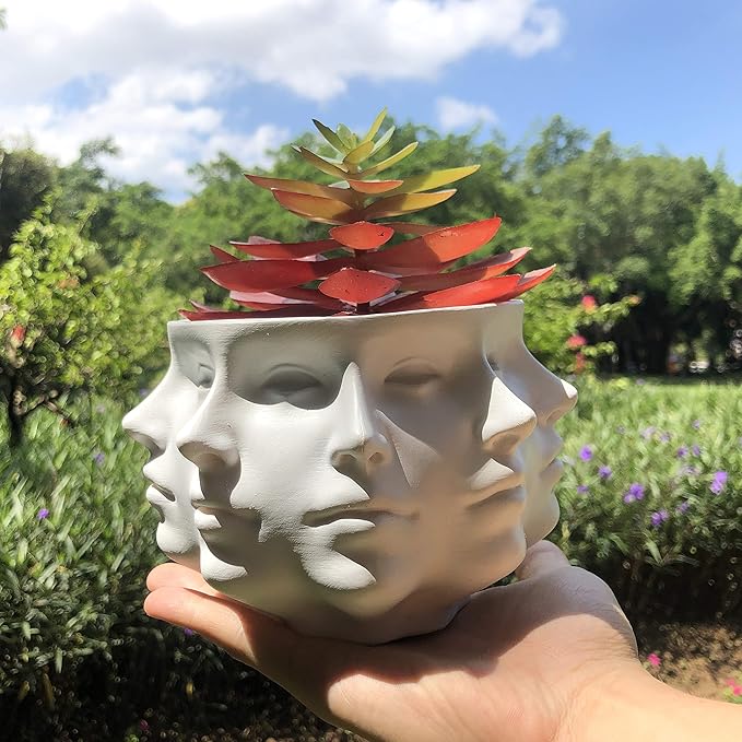 Multi-Face Succulent Planter Vase - Small Face Plant Head Home Decoration - Indoor Cactus Pot