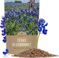 Bulk Texas Bluebonnet Wildflower Seeds - 1 Pound Bag - Over 16,000 Native Seeds - Texas State Flower!