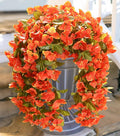 HyeFlora Bougainvillea Artificial Hanging Flowers Plants for Outdoors Decoration, 2pcs Faux Bougainvillea Vines Orange Fake Flowers Realistic UV Resistant Silk Flowers for Outside Planter Yard Porch