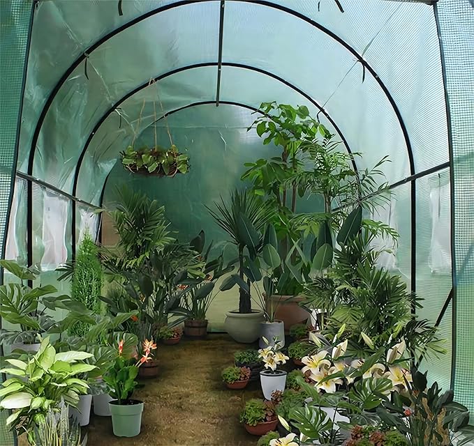Outdoor Greenhouse with Screen Door,Outside Heavy Duty Walk in Green House for Garden Plants UV Protection Thermostatic Waterproof 10x7x7 FT