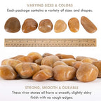 5 lbs Approx. 25 River Rocks Pebbles for Plants Natural Decorative Polished Stones for Planters Succulent Rocks Aquarium Gravel (2-3 Inches)
