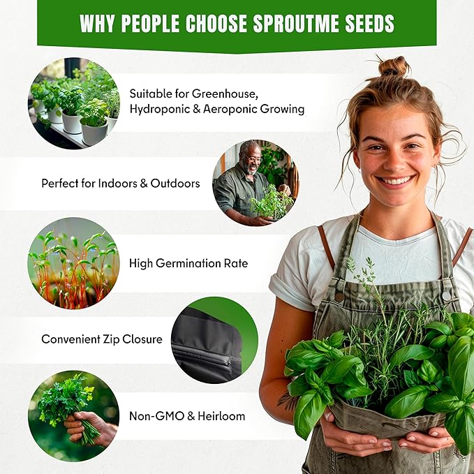 18 Culinary Herb & 20 Vegetable Seeds Variety Pack Bundle 8000+ Non-GMO Heirloom Garden Seeds for Planting Lettuce, Greens, Herbs, Vegetables