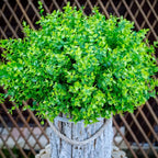 Fake Plants Flowers Outdoor Artificial Shrubs - 16 Bundles UV Resistant No Fade Faux Plastic Greenery Home Garden Porch Patio Decoration Office Indoor (Green)