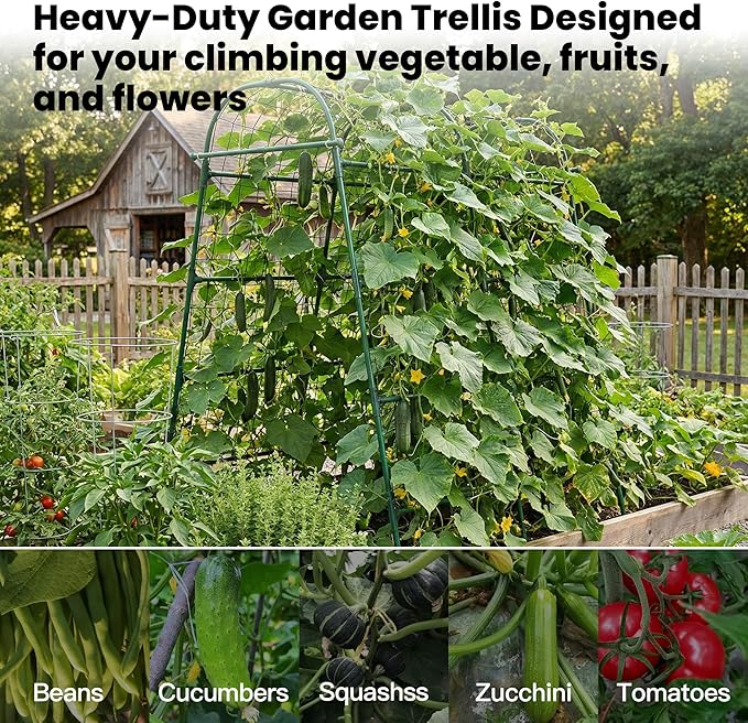 Garden Arch Trellis for Climbing Plants Outdoor, 7 Ft Tall Cucumber Trellis for Raised Bed, Metal Archway Arbor Trellis Support for Vegetables Beans Squash Peas Grape Vines Flowers