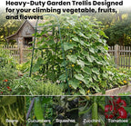 Garden Arch Trellis for Climbing Plants Outdoor, 7 Ft Tall Cucumber Trellis for Raised Bed, Metal Archway Arbor Trellis Support for Vegetables Beans Squash Peas Grape Vines Flowers