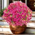 AXYLEX Artificial Flowers for Outdoors Fake Plants - 16 Bundles Faux Outside Greenery Boxwood No Fade Plastic Shrubs Fall Decor Farmhouse Home Garden Thanksgiving Mums (Red)