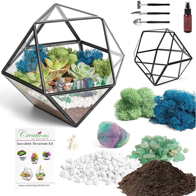 Creations by Nathalie DIY 7" Geometric Terrarium Kit - Build Your Own Glass Terrarium for Adults & Teens with Moss, Crystals, Tools & Decorative Figurine - Mini Ecosystem (Plant Not Included)
