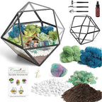Creations by Nathalie DIY 7" Geometric Terrarium Kit - Build Your Own Glass Terrarium for Adults & Teens with Moss, Crystals, Tools & Decorative Figurine - Mini Ecosystem (Plant Not Included)