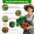 20 Vegetable + 15 Lettuce & Salad Greens + 15 Sweet & Hot Pepper Seeds Variety Pack Bundle 11950+ Non-GMO Heirloom Garden Seeds for Planting
