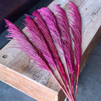 Hot Pink Pampas Grass Tall for Floor Vase Decor,Long Natural Pampas Grass, Large Dried Pompas Floral, Elegant Feather Flowers,Wedding Living Room Decorations (Natural Purple Red, 4pcs 43.3"(110cm))