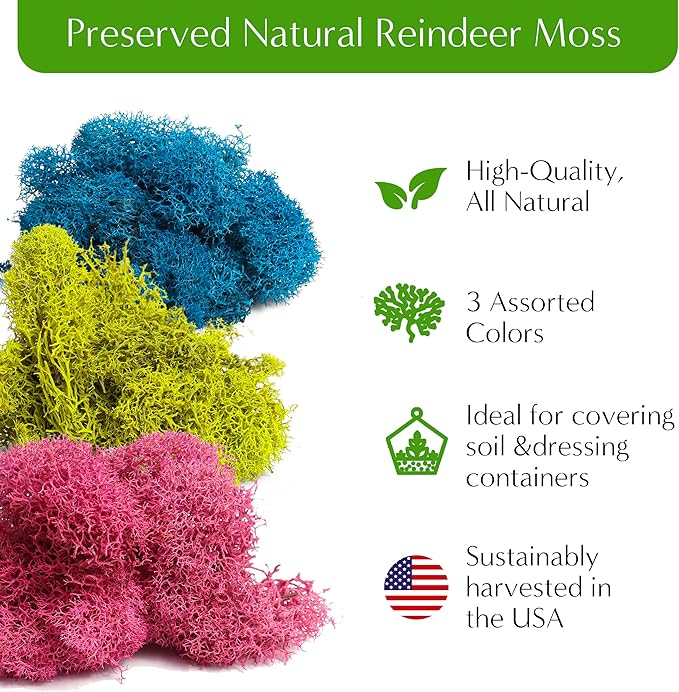 Creations by Nathalie DIY Terrarium Starter Kit - Small Terrarium Kit with Moss, Soil, Pebbles, Tools, Crystals & Figurines - Fun Gardening Craft Supplies for Adults & Teens - Handcrafted in USA