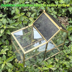 Ready-to-Use Glass Terrarium with Vents - 8.66"x4.72"x8.46" House-Shaped Jumping Spider Enclosure, Habitat for Praying Mantis, Snails, Insect or Succulent Plants - Home Garden Tabletop Decor