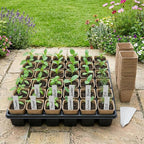 NEWMIAO 60 Pack 3.15 Inch Square Peat Pots, Biodegradable Seed Starter Pots for Seedlings with Single Drainage Hole, Square Nursery Pots Germination Kit Including 100 Plant Labels